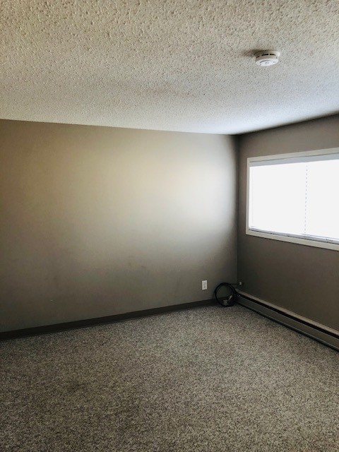 College DR Bachelor For Rent- September 1